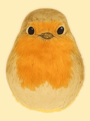 the robin